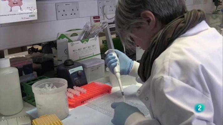 El Vespre - El Vespre - 02/02/2021