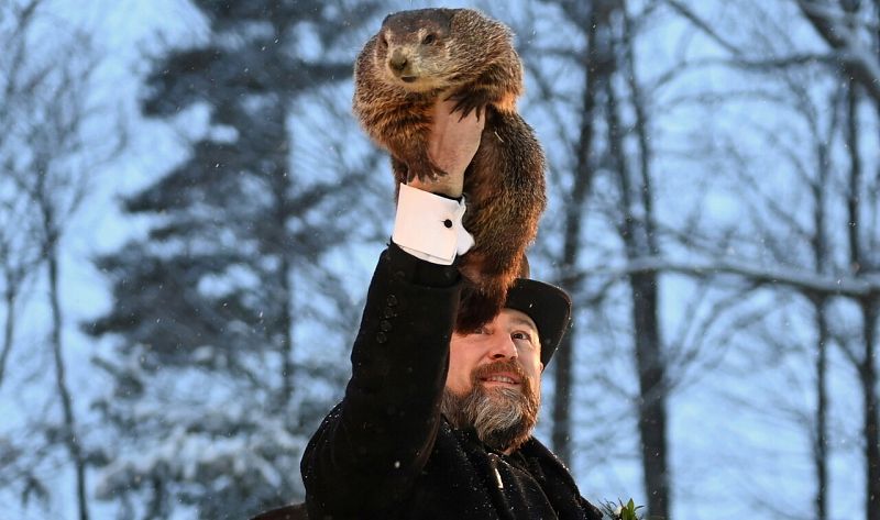 En el día de la marmota seguimos "atrapados en la pandemia"