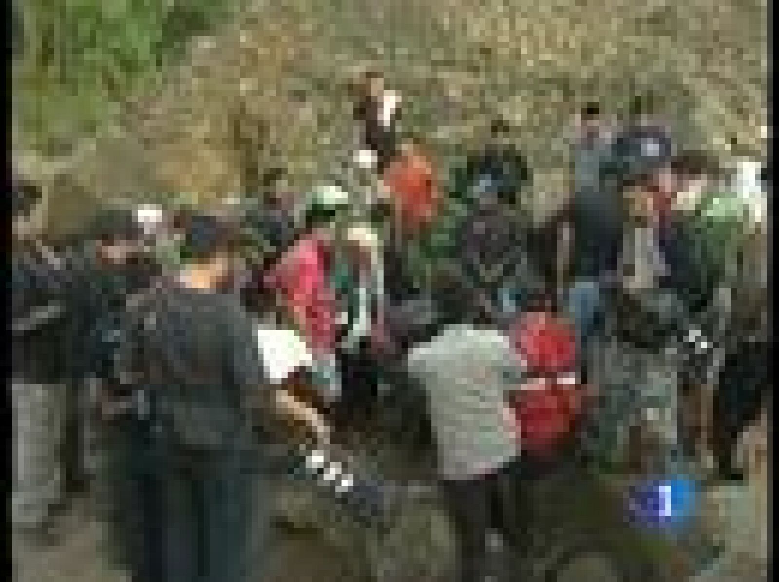 Sin programa: En Indonesia, son ya 57 los muertos | RTVE Play