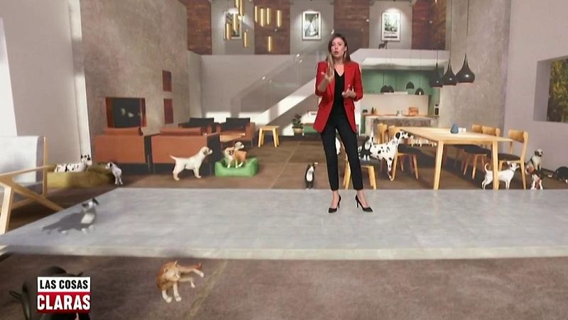 Corea del Sur hará tests de la COVID-19 a perros y gatos