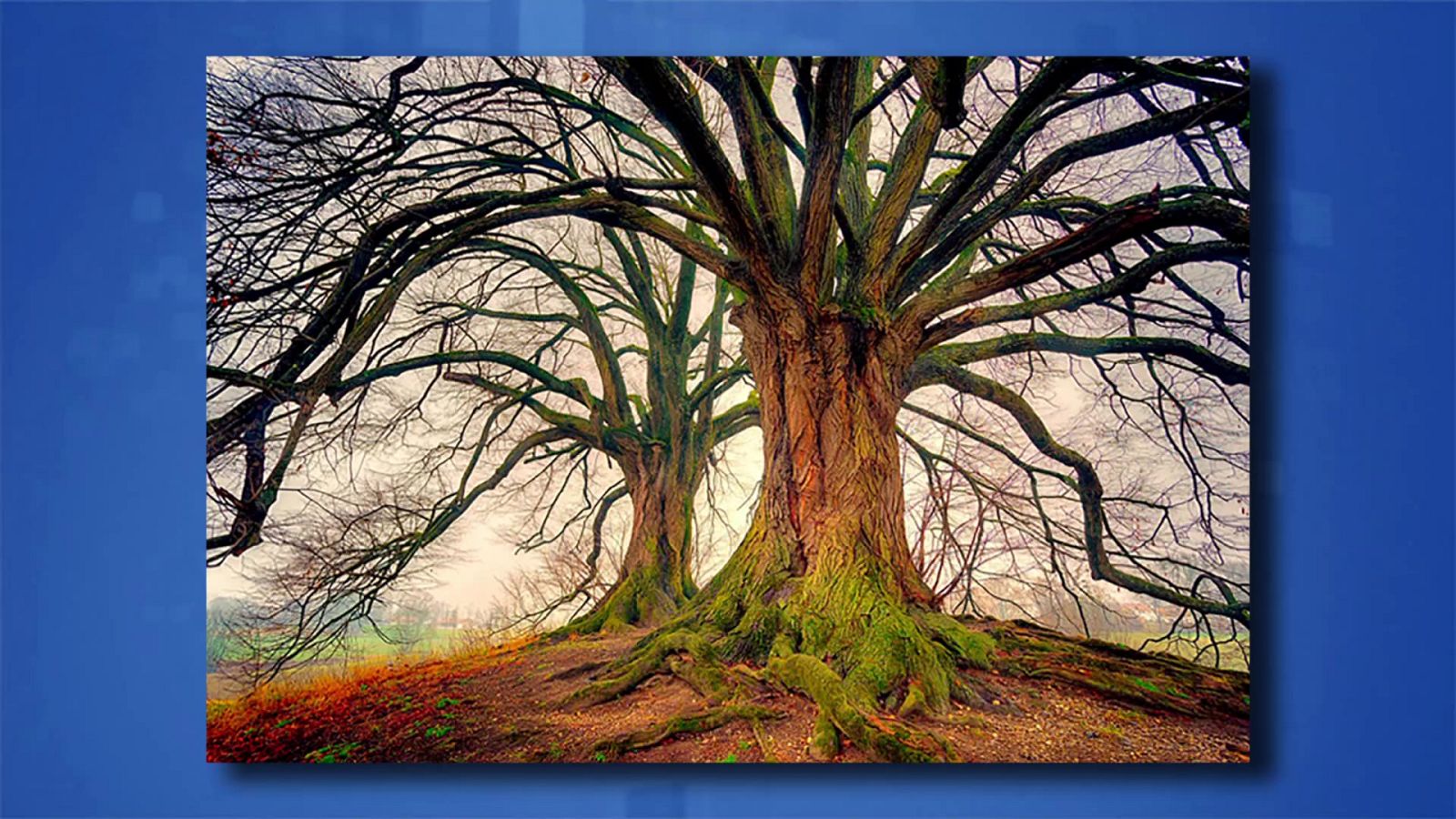 Saber y ganar - 03/02/21 - ver ahora