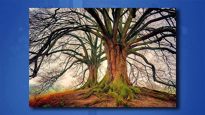 Saber y ganar - Saber y ganar - 03/02/21