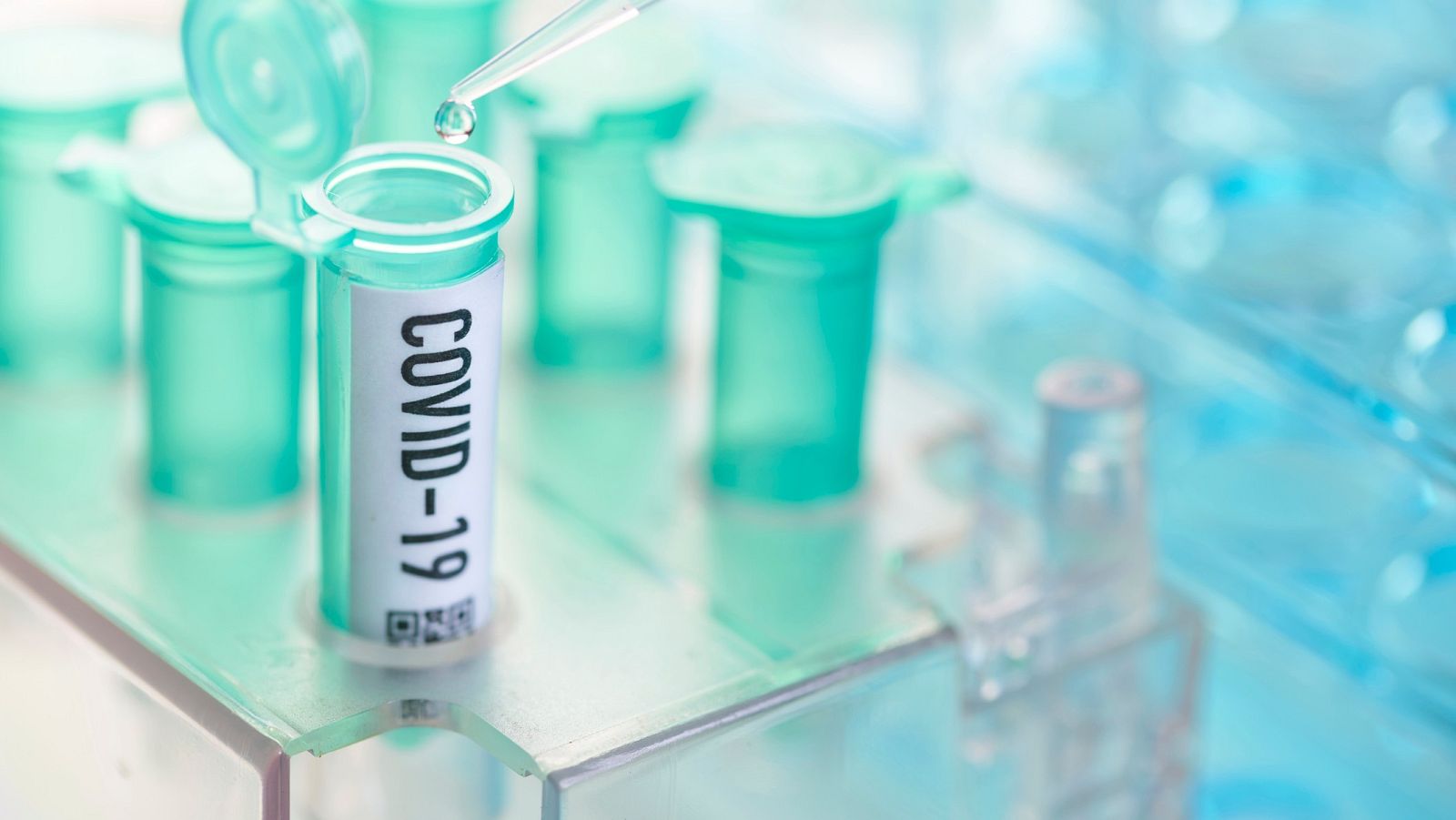 Los expertos ven conveniente el confinamiento - La hora de La 1 | Ver