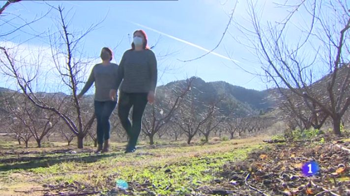 Noticias Aragón - Aragón se prepara para recibir a miles de temporeros