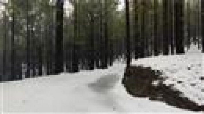 Telecanarias - Canarias en 2' - 05/02/2021