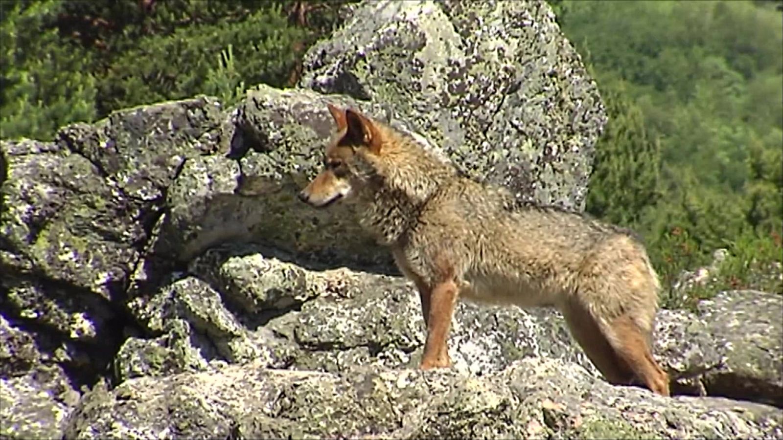Agrosfera - 06/02/21 - ver ahora
