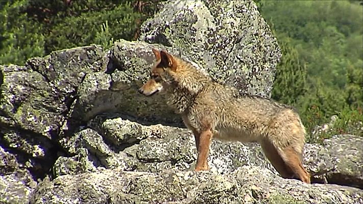 Agrosfera - Agrosfera - 06/02/21