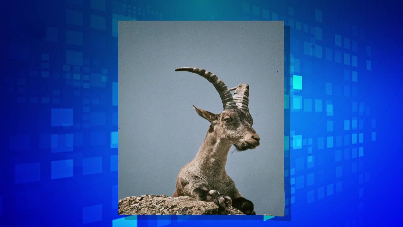 Saber y ganar. Edición de fin de semana - 06/02/21 - ver ahora