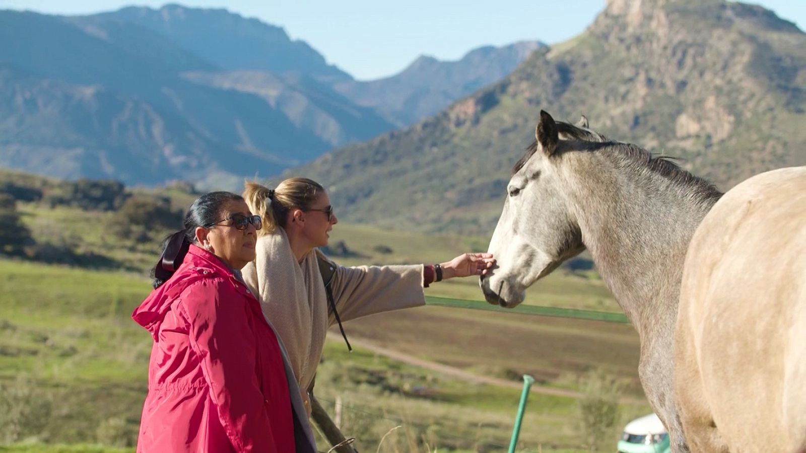 Dos parejas y un destino - Cádiz - Ver ahora