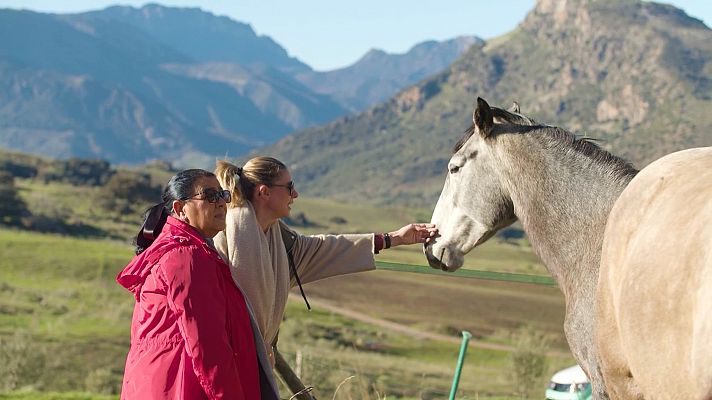 Dos parejas y un destino - Cádiz
