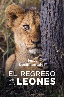 Somos Documentales - El regreso de los leones