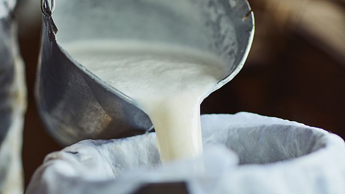 ¡La leche! El origen de este indispensable alimento