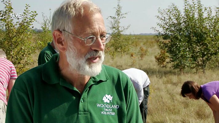 That's English - Intermedio B2.4 - Unit 4B: Would you like to...?