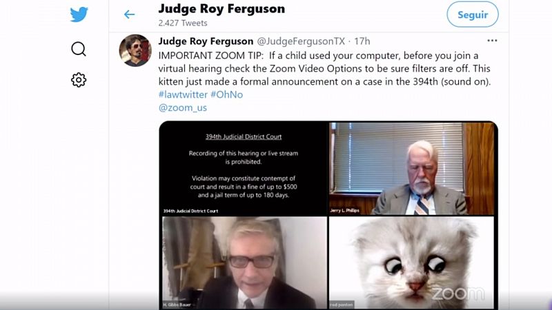 Los inconvenientes del teletrabajo: un juez se olvida de quitar un filtro en una videoconferencia y aparece con cara de gato