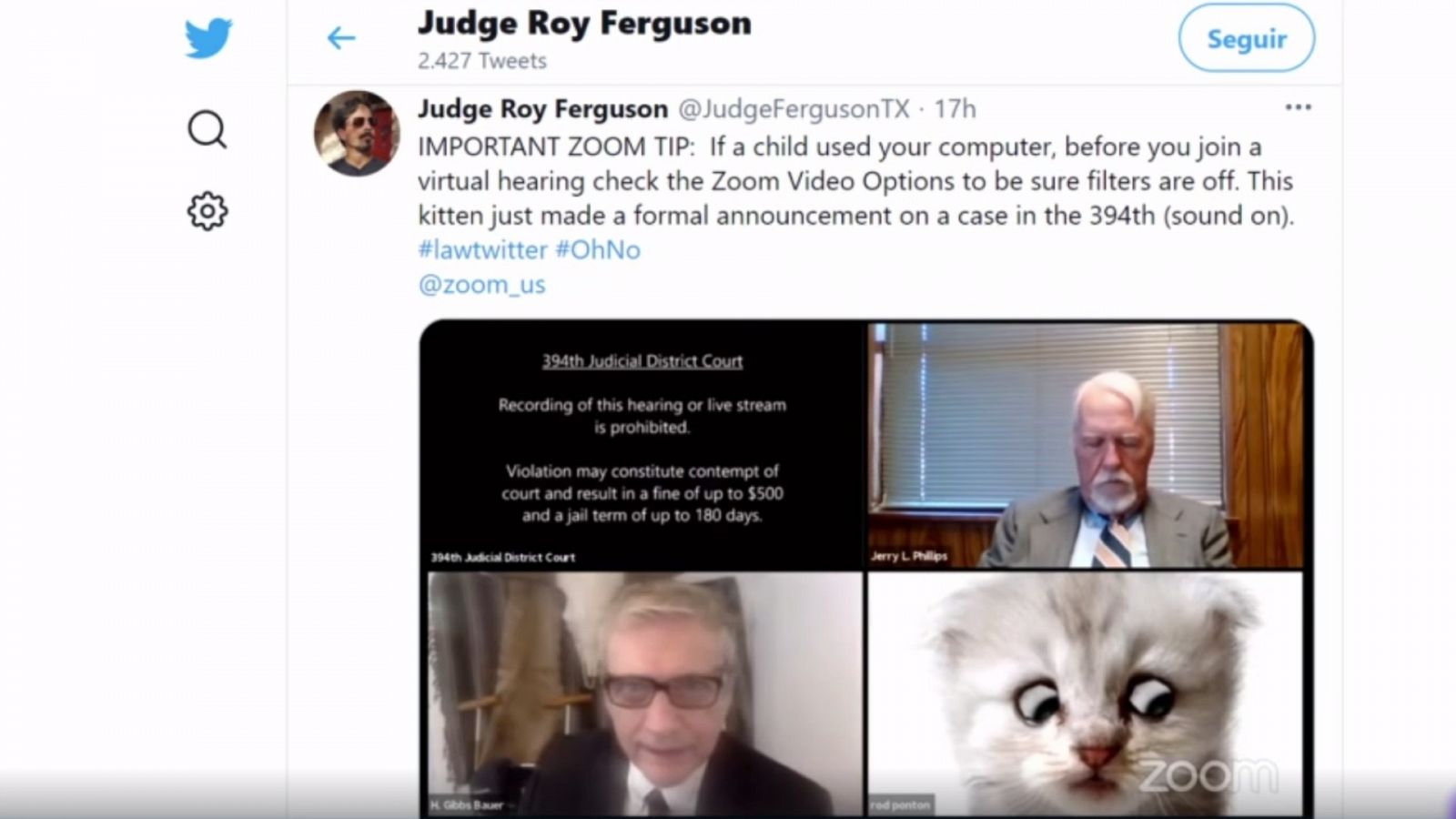Los inconvenientes del teletrabajo: un juez se olvida de quitar un filtro en una videoconferencia y aparece con cara de gato