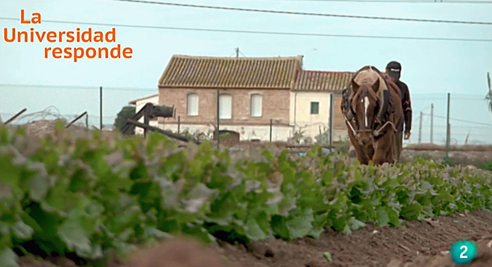 La aventura del saber Huerta de Valencia paisaje histórico Valencia Universidad Responde #AventuraSaberUResponde