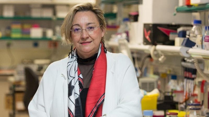 Ángela Nieto (CSIC): "El número de mujeres disminuye en los puestos de responsabilidad en la Ciencia"