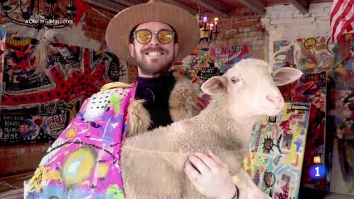 Obrim fil - Com és viure entre alpaques i porcs vietnamites