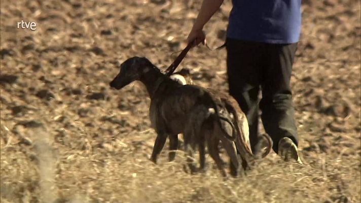 Carreras en La Mancha