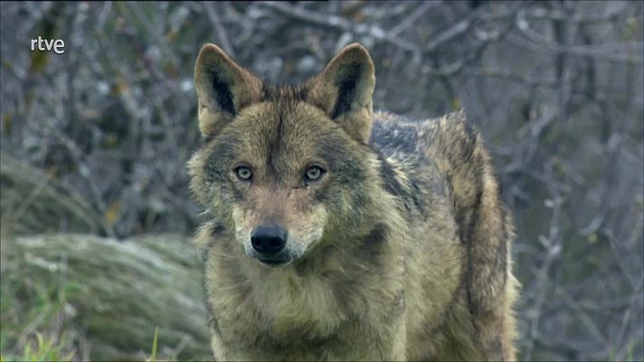 Agrosfera - Agrosfera - 13/02/21