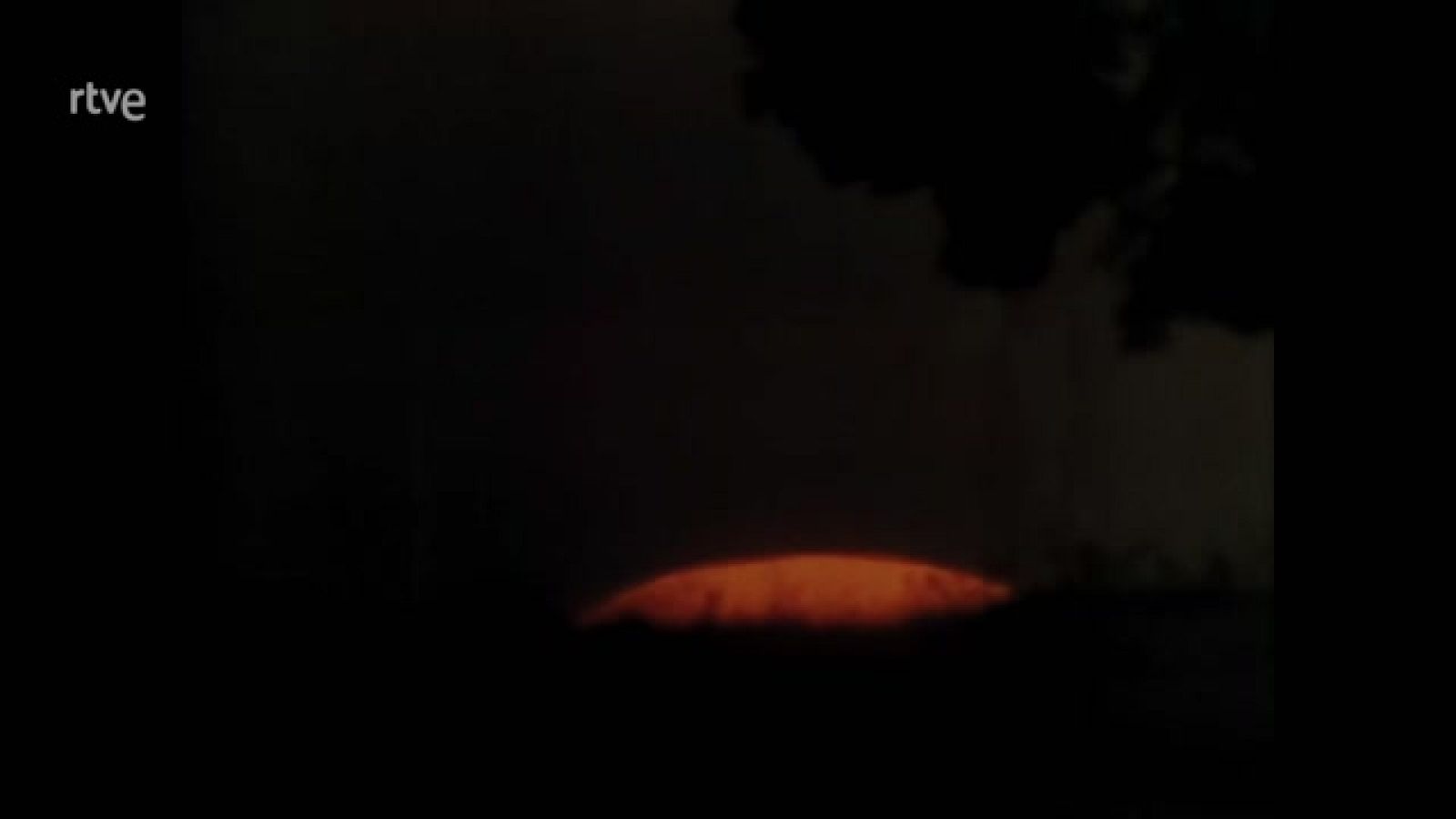 El hombre y la Tierra (Fauna ibérica) - Rescatados del exterminio - ver ahora