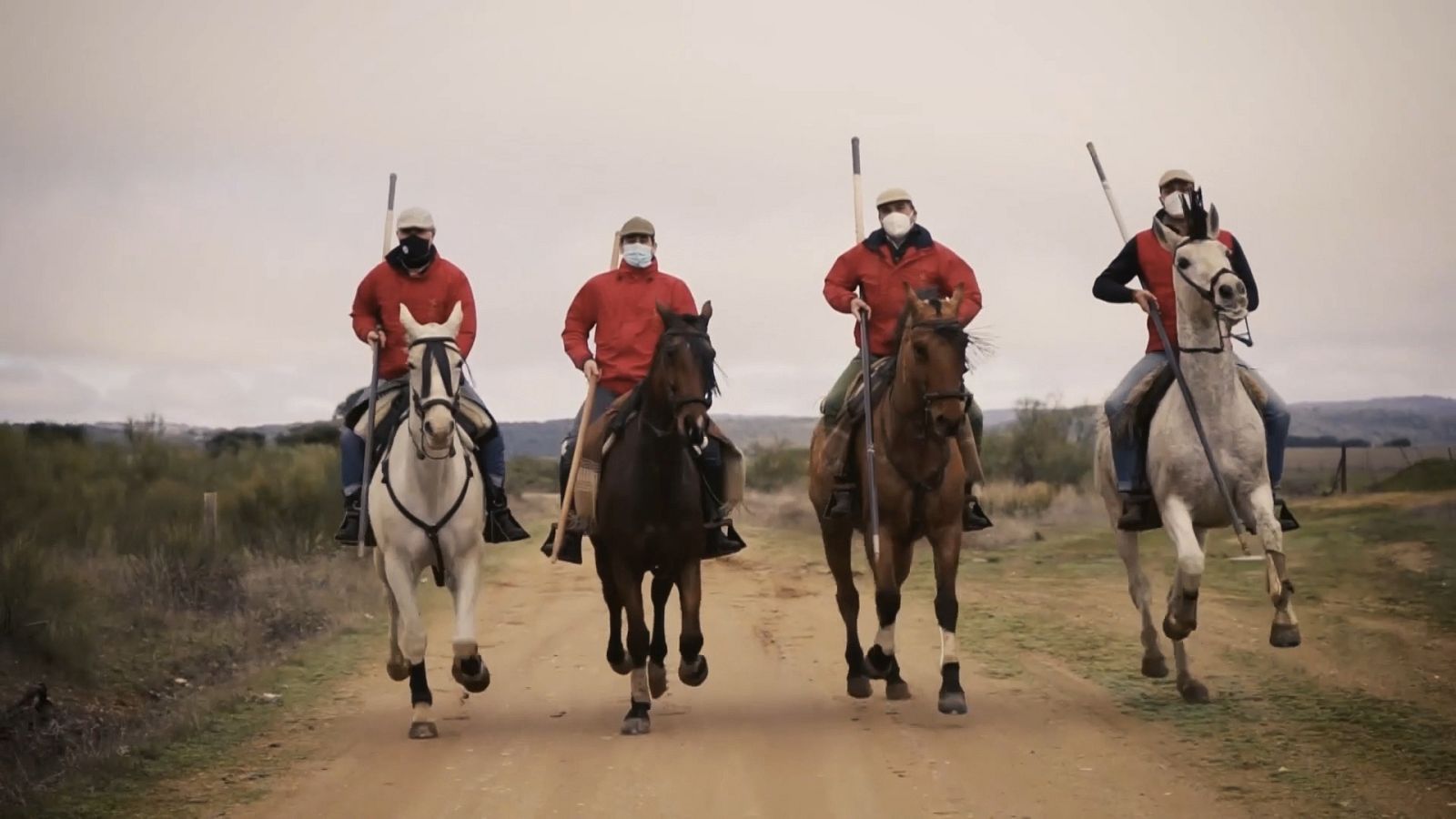 Tendido cero - 13/02/21 - ver ahora