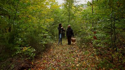 Braña de las Cadenas