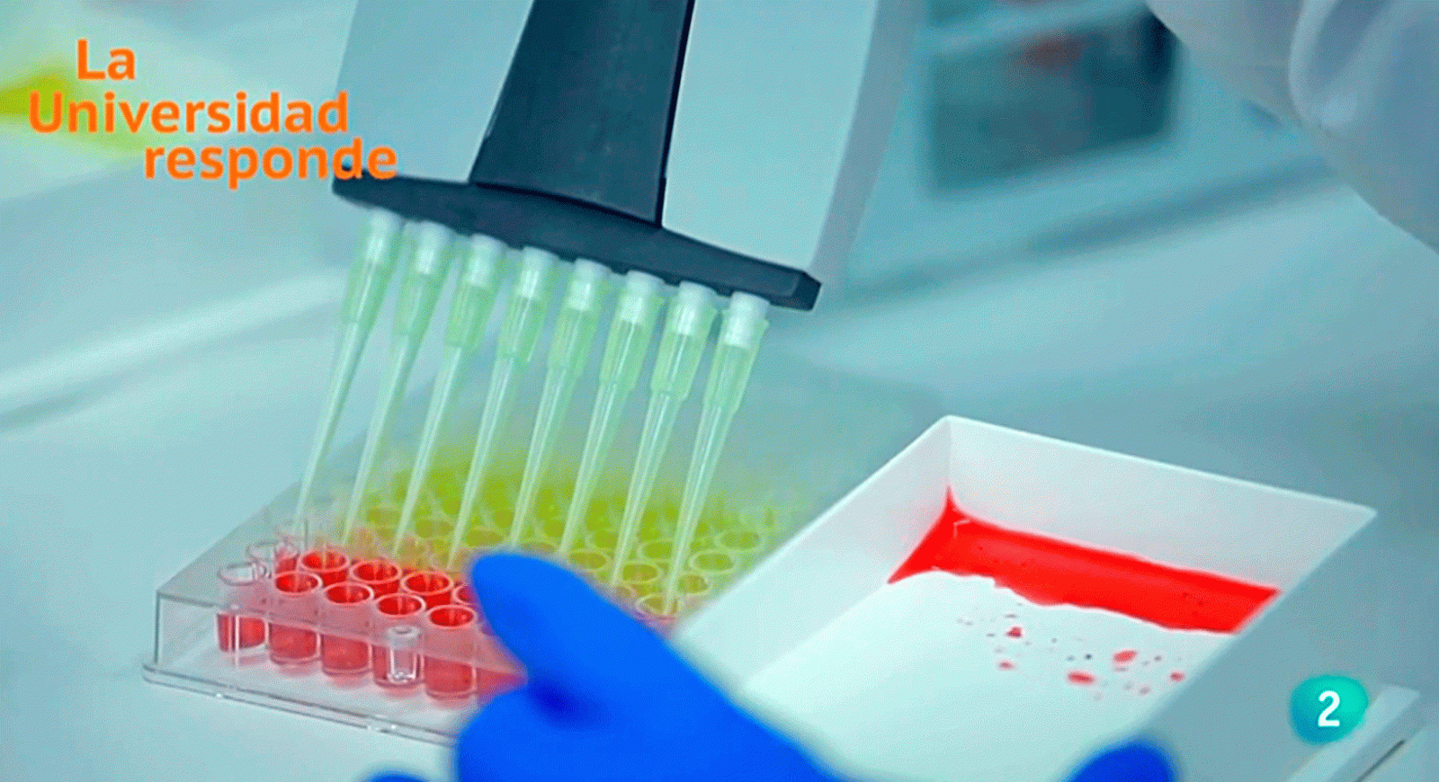 La aventura del saber Son malas las vacunas Vigo Universidad Responde #AventuraSaberUResponde