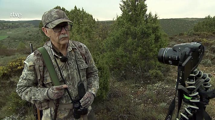 Jara y sedal - Cazador de imágenes