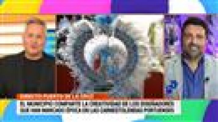 Cerca de ti - Cerca de ti - 16/02/2021