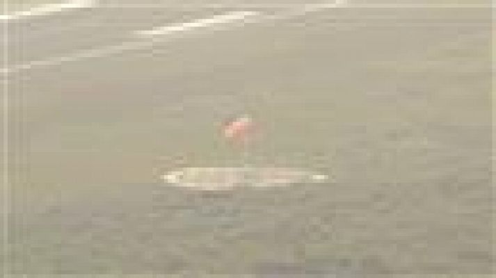 Telecanarias - Telecanarias - 16/02/2021