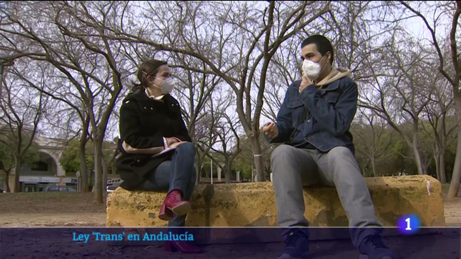 Noticias Andalucía: Andalucía, comunidad pionera en aprobar una ley trans y por unanimidad | RTVE Play
