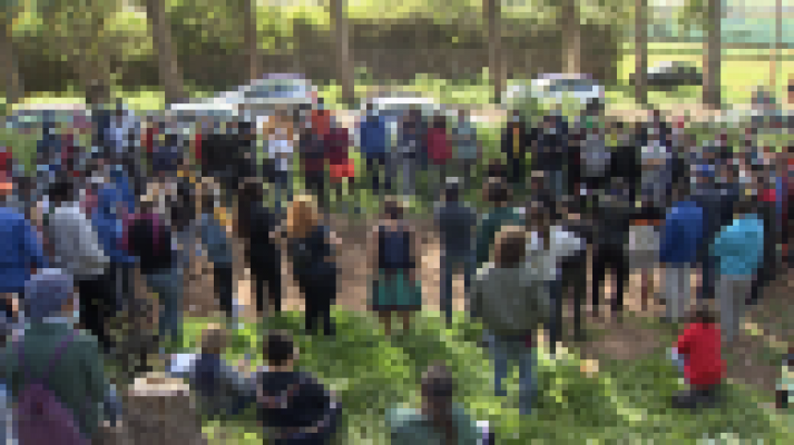 Telecanarias - Telecanarias 2 - 17/02/2021