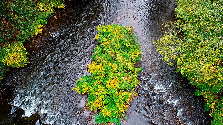 El Amazonas salvaje de Alemania