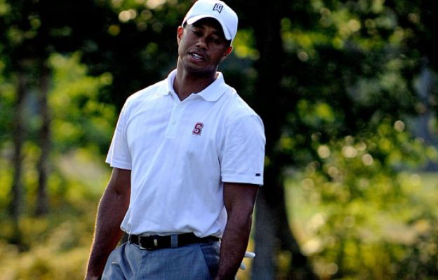  - Tiger no anda fino