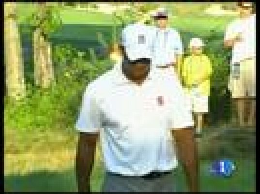  - Tiger no anda fino