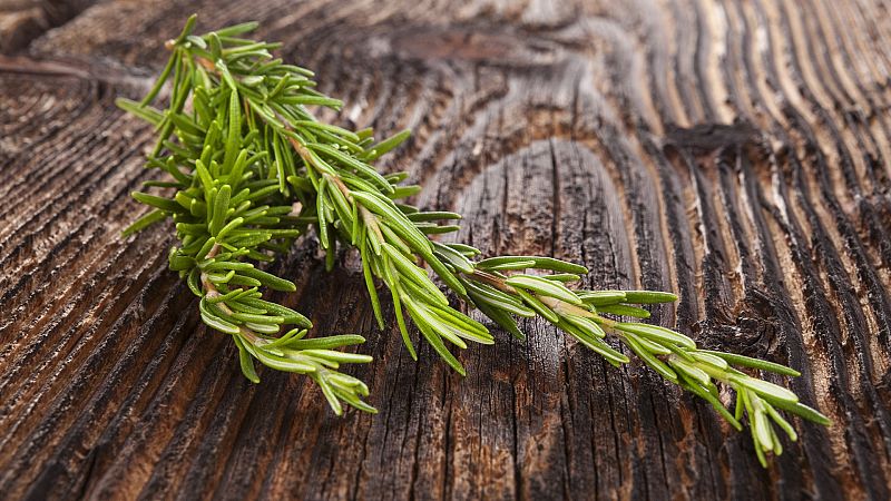 El sabor de las plantas aromáticas 