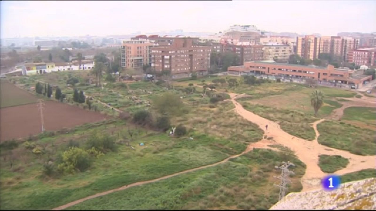 L'Informatiu Comunitat Valenciana 2 - 19/02/21 ver ahora