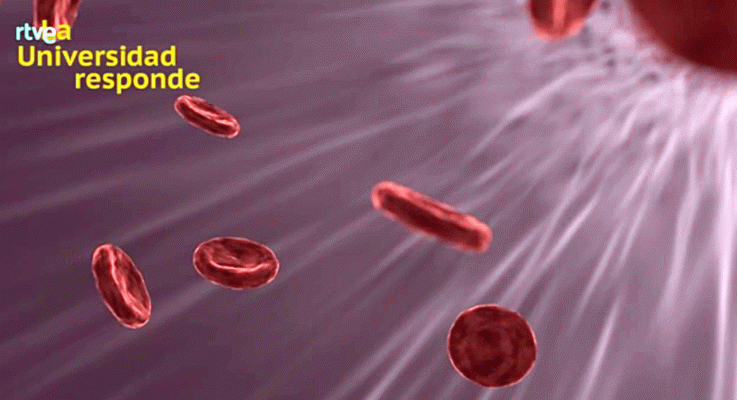 La aventura del Saber - ¿Cómo debemos actuar ante un ictus?