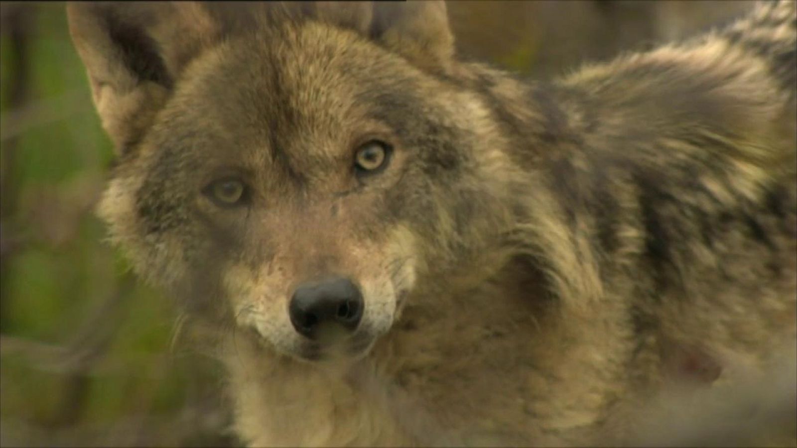 Agrosfera - 20/02/21 - ver ahora