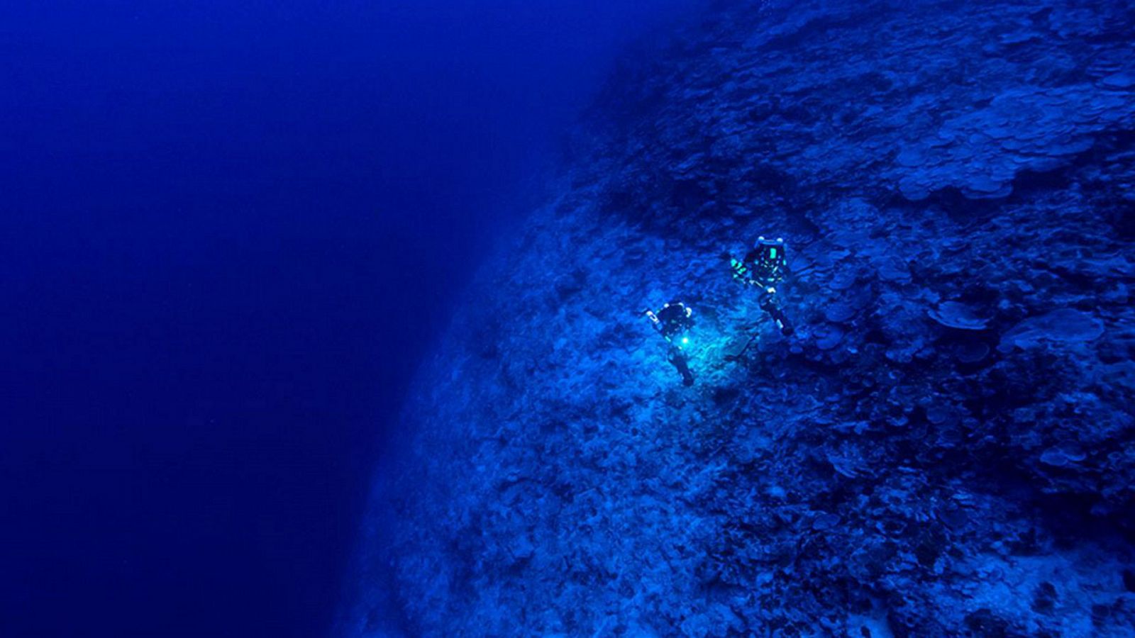 Otros documentales - Bajo el Polo: Polinesia, en busca de las profundidades