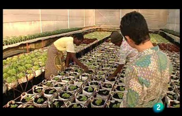 En portada - Zimbabue con acento español