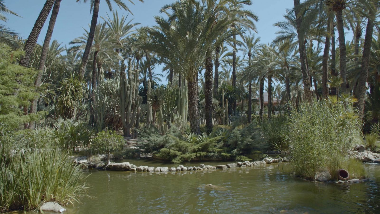Jardines con historia - Alicante: Palmeral de Elche