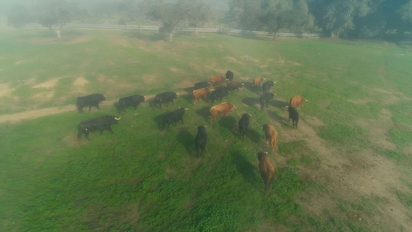 Las rutas d'Ambrosio - Sevilla, del campo a la tapa - ver ahora