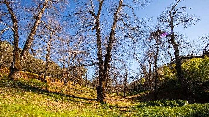 Senderos del mundo - Episodio 3