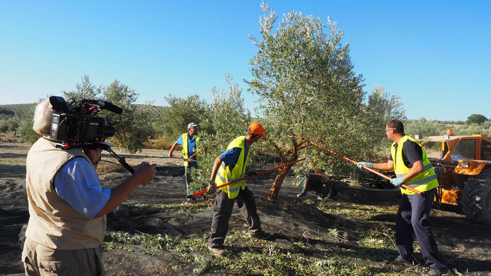 Somos documentales - Jaén, virgen & extra - ver ahora