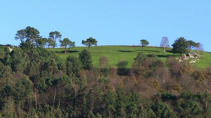 Repor - Los amos del monte