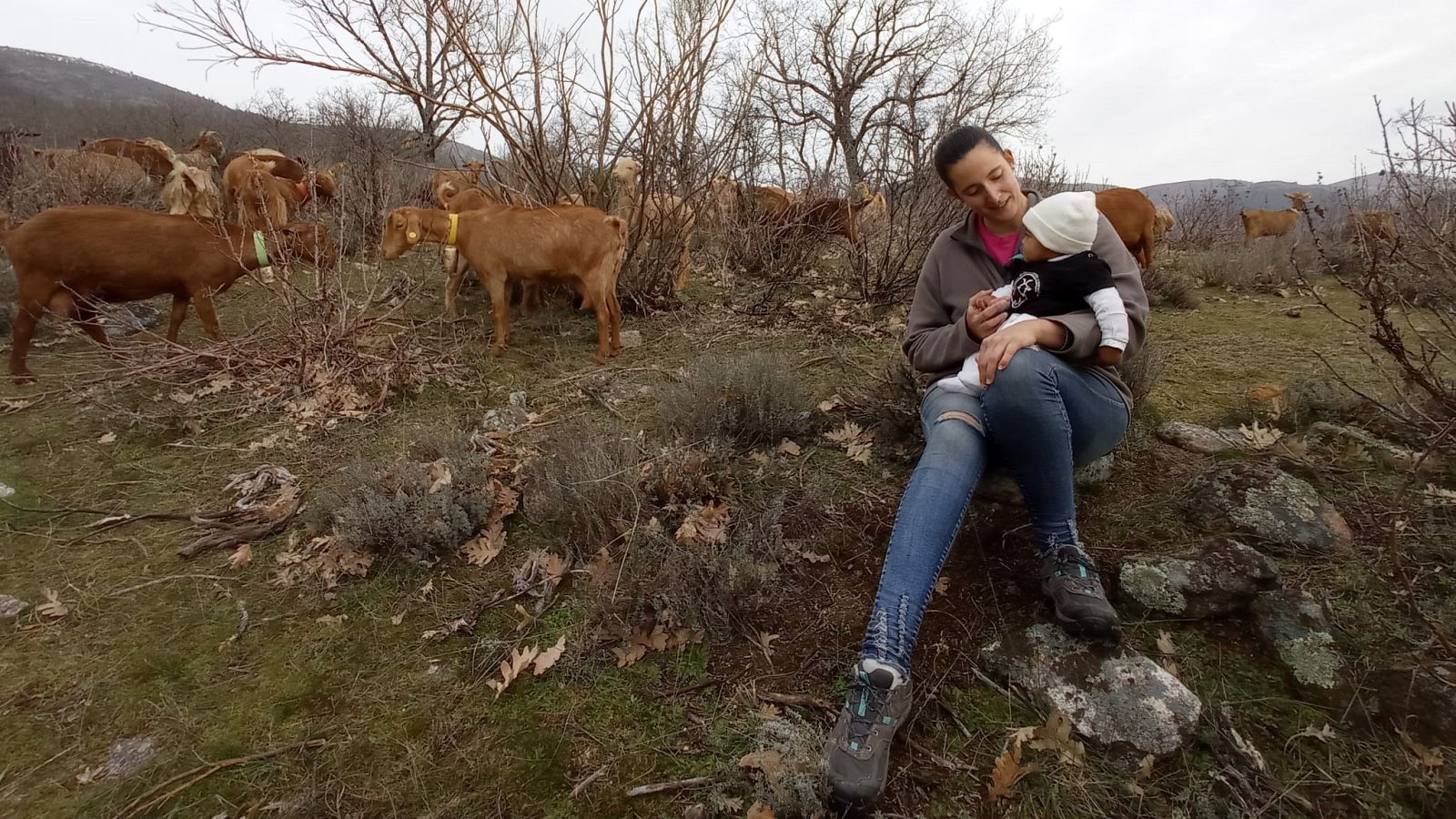 Parlamento - El reportaje - Ganaderas en Red: mujeres pensando en rural - 20/02/2021