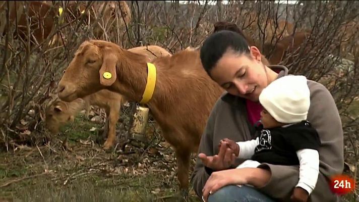 Ganaderas en Red: mujeres pensando en rural