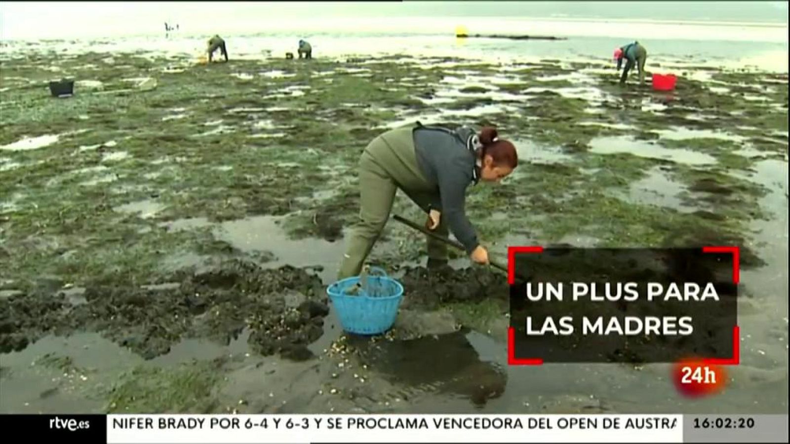 Parlamento - Parlamento en 3 minutos - 20/02/2021